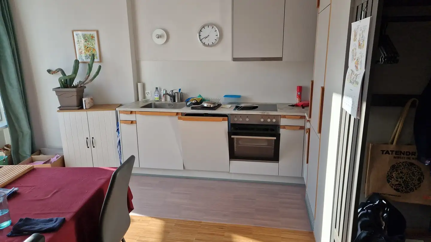 Appartamento in affitto - Schauenbergstrasse 32, 8046 Zürich - Foto 3