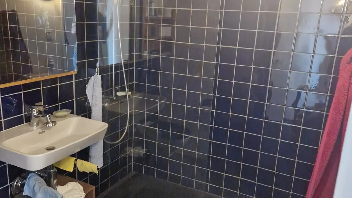 Appartamento in affitto - Schauenbergstrasse 32, 8046 Zürich - Foto 4
