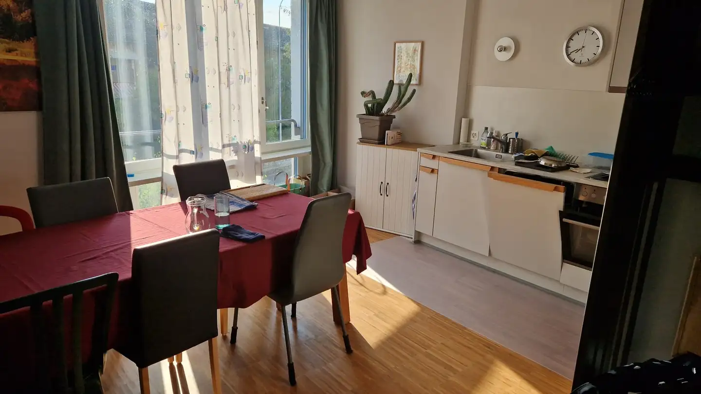 Appartamento in affitto - Schauenbergstrasse 32, 8046 Zürich - Foto 2