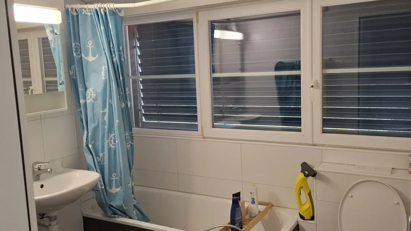 Appartamento in affitto - 8352 Elsau - Foto 3