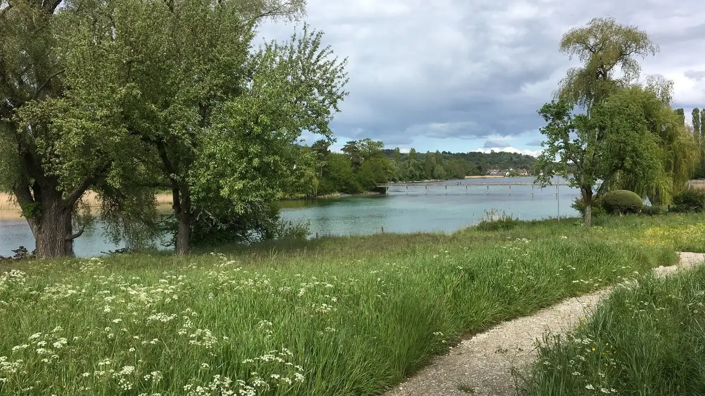 Appartement à louer - Mettlenstrasse 9, 8264 Eschenz