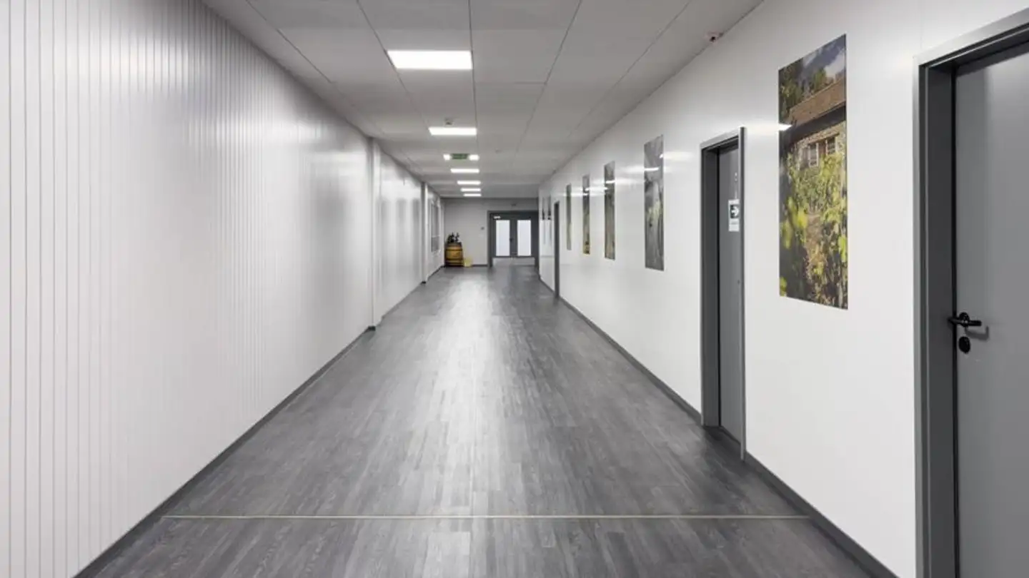 Spazio ufficio in affitto - Rue Des Sablières 5, 1242 Satigny - Foto 2