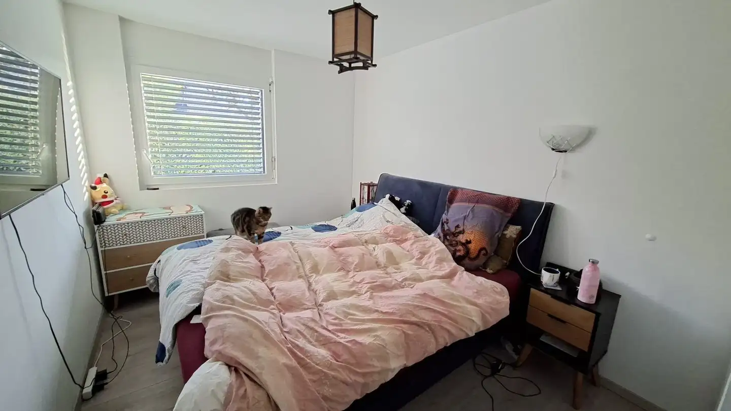 Appartamento in affitto - Chemin Des Pruniers, 1135 Denens - Foto 2