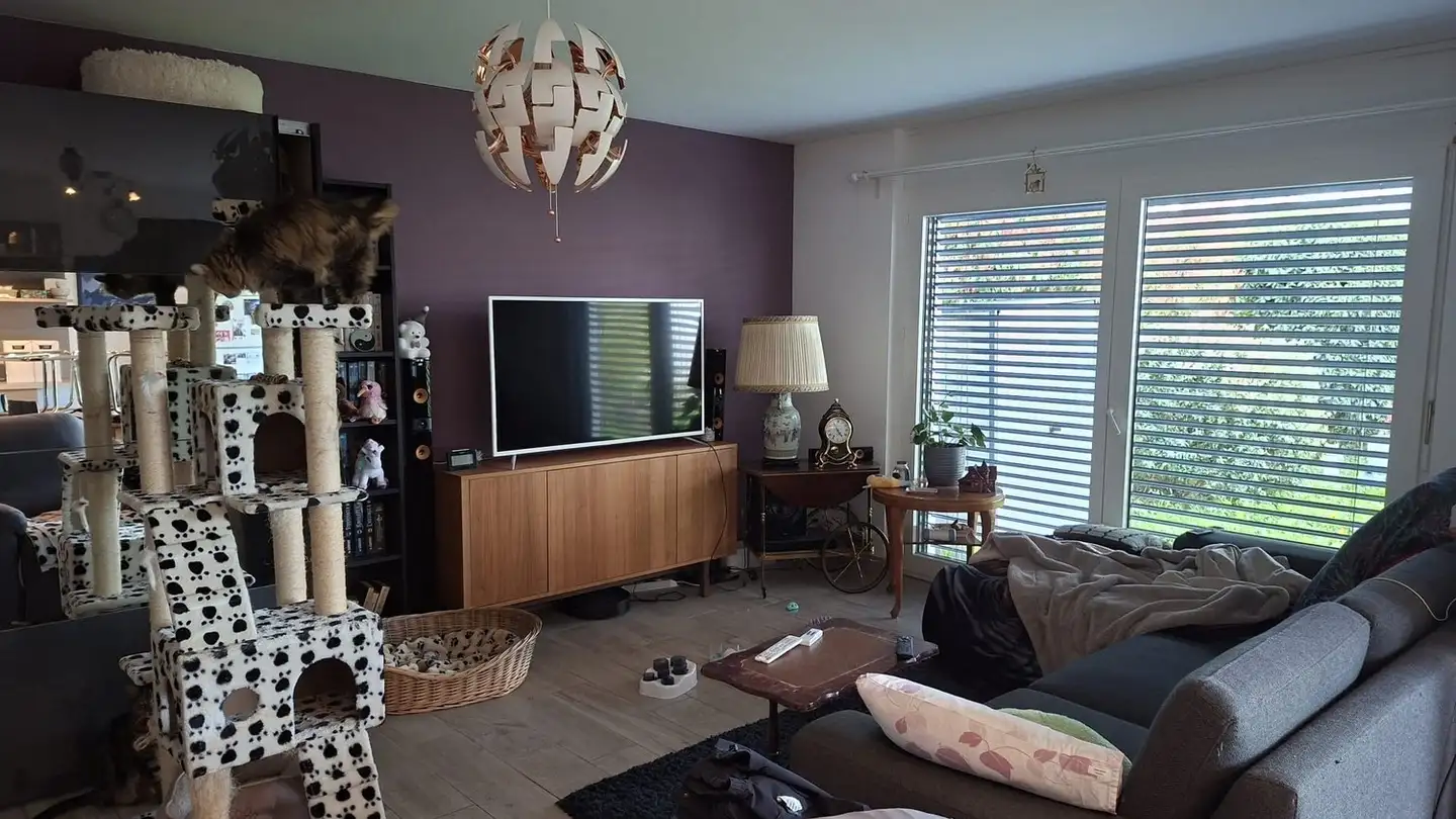 Appartamento in affitto - Chemin Des Pruniers, 1135 Denens - Foto 3