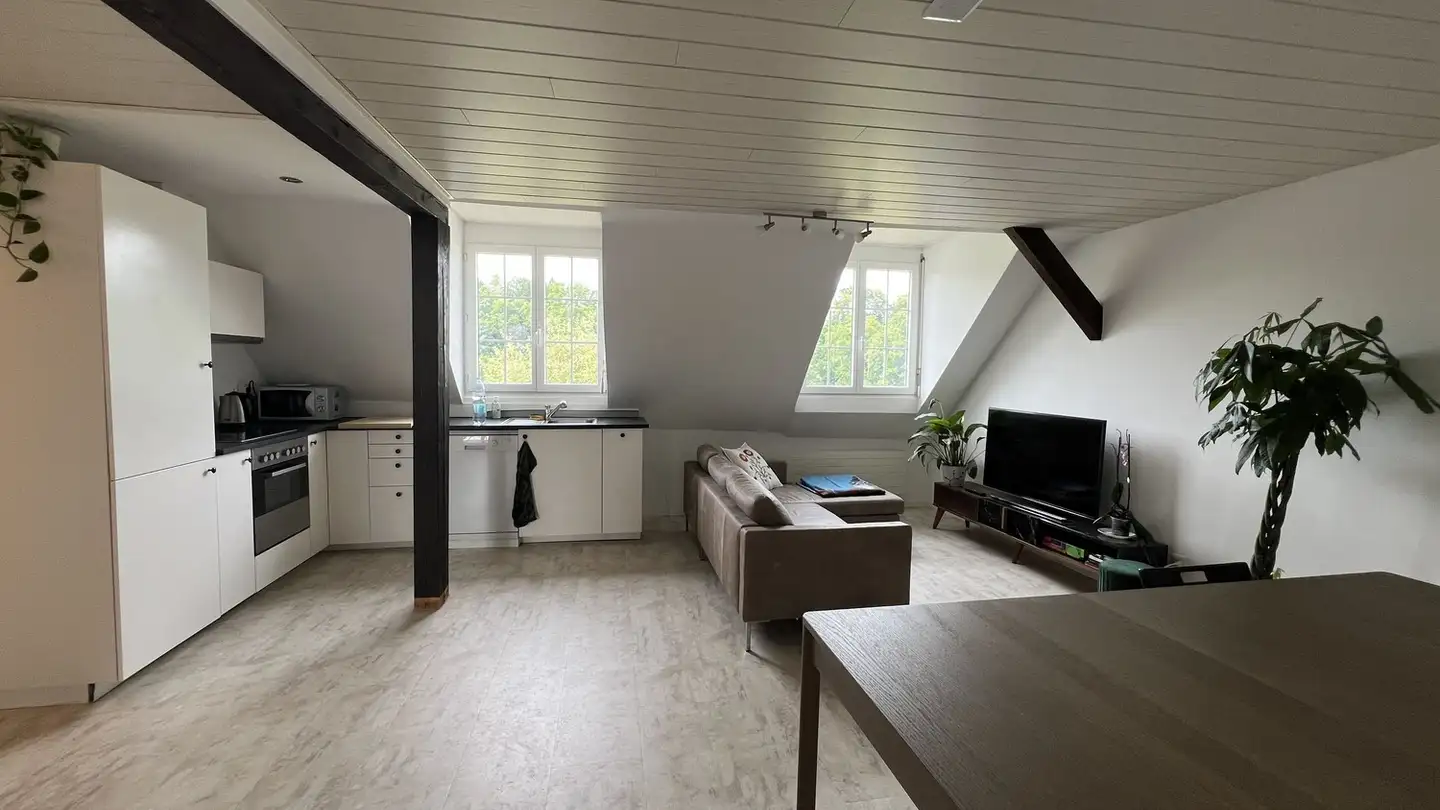 Appartement à louer - Alte Döttingerstrasse 9, 5306 Tegerfelden