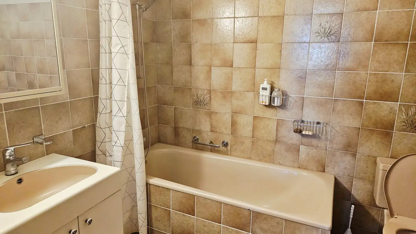 Duplex à louer - Wetzikerstrasse 49, 8335 Hittnau - Photo 3