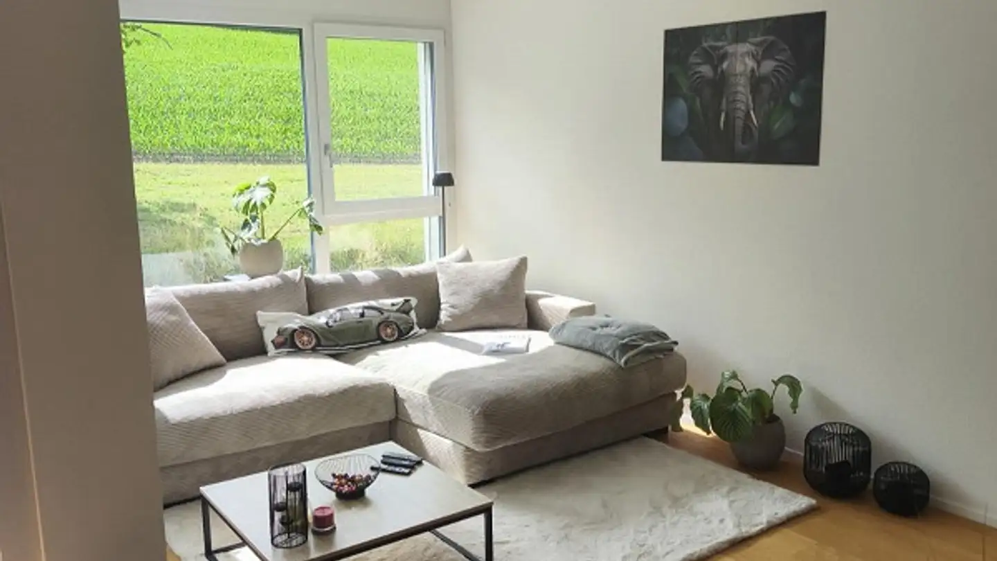 Apartment for rent - Oberdorfstrasse 11, 5708 Birrwil - Photo 2