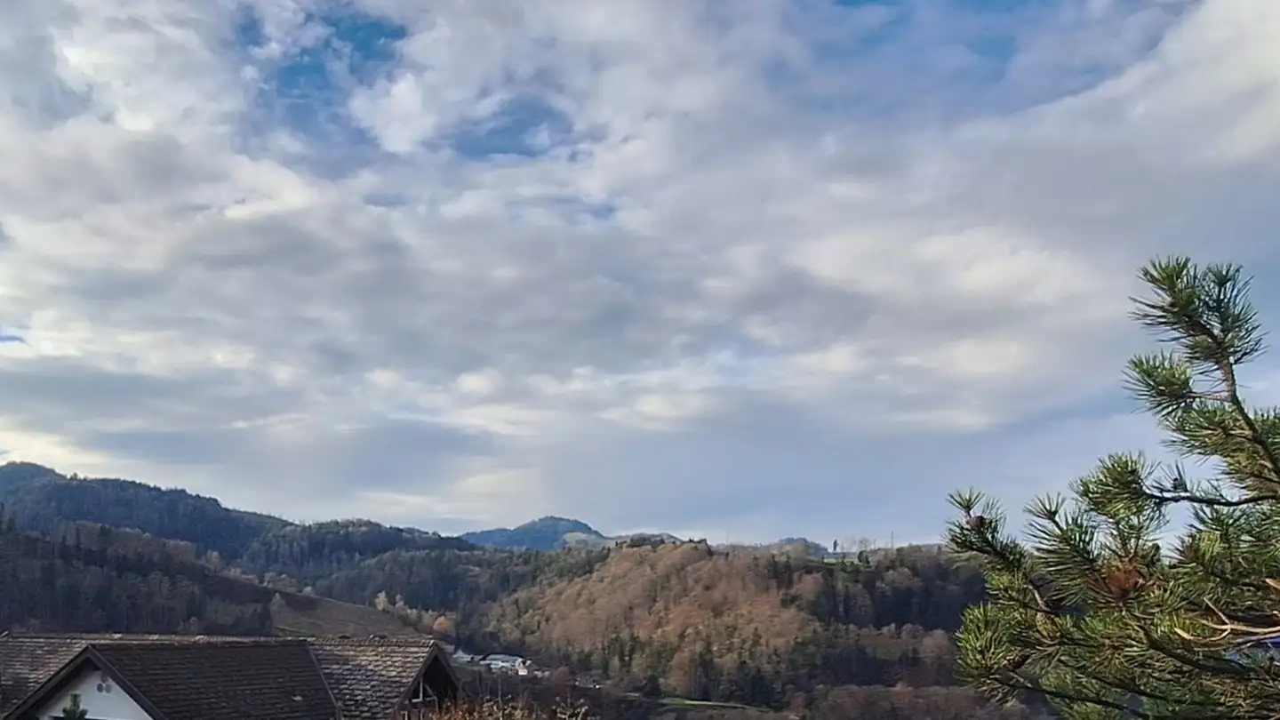 Maison jumelle à vendre - 9620 Lichtensteig - Photo 4