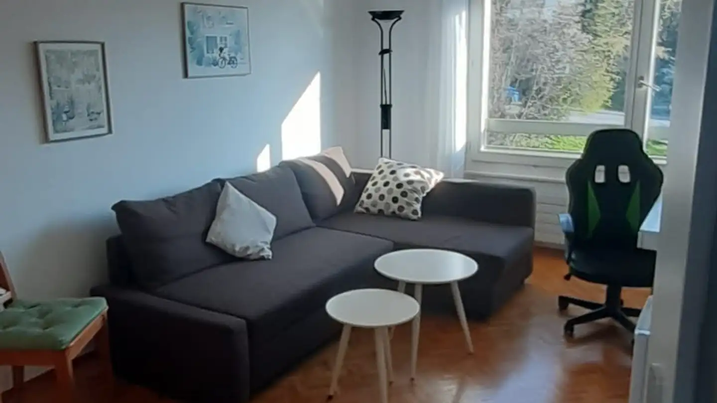 Single room for rent - Chemin Du Salève 1, 1004 Lausanne - Photo 4