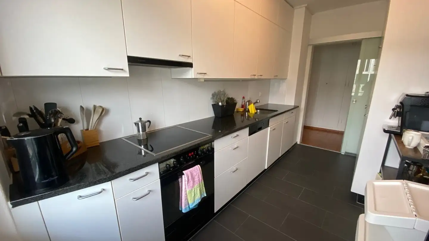 Furnished apartment for rent - 3007 Bern - Photo 3