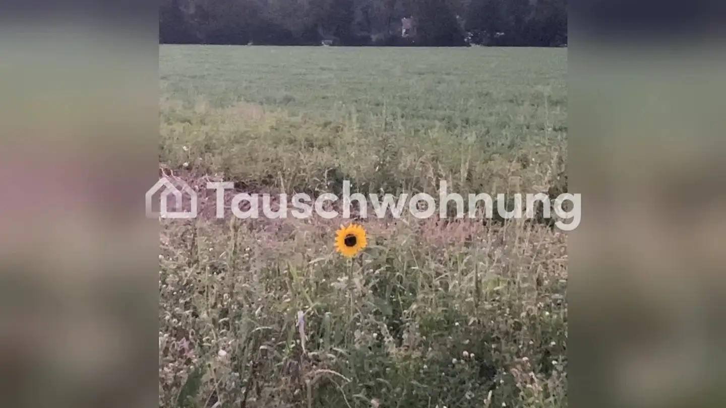 Appartement à louer - 4914 Roggwil BE - Photo 3