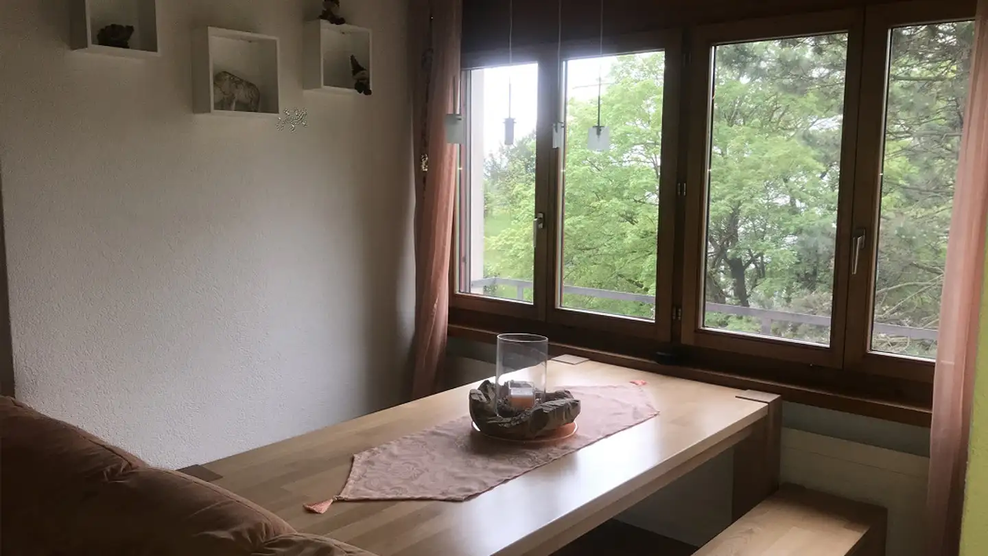 Appartamento in affitto - Kreuzlingerstrasse 52a, 8555 Müllheim Dorf - Foto 4