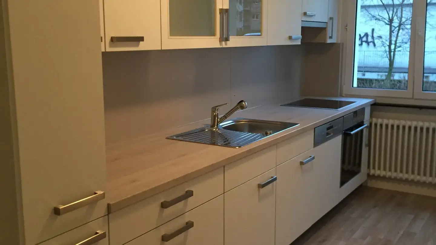 Appartamento in affitto - Roswiesenstrasse 183, 8051 Zürich - Foto 2