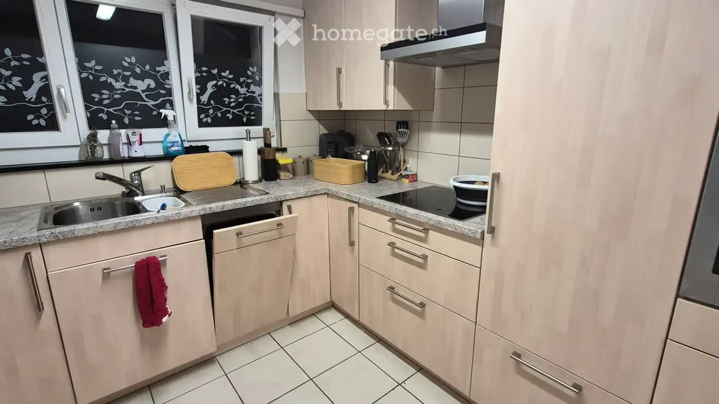 Appartement à louer - 5722 Gränichen