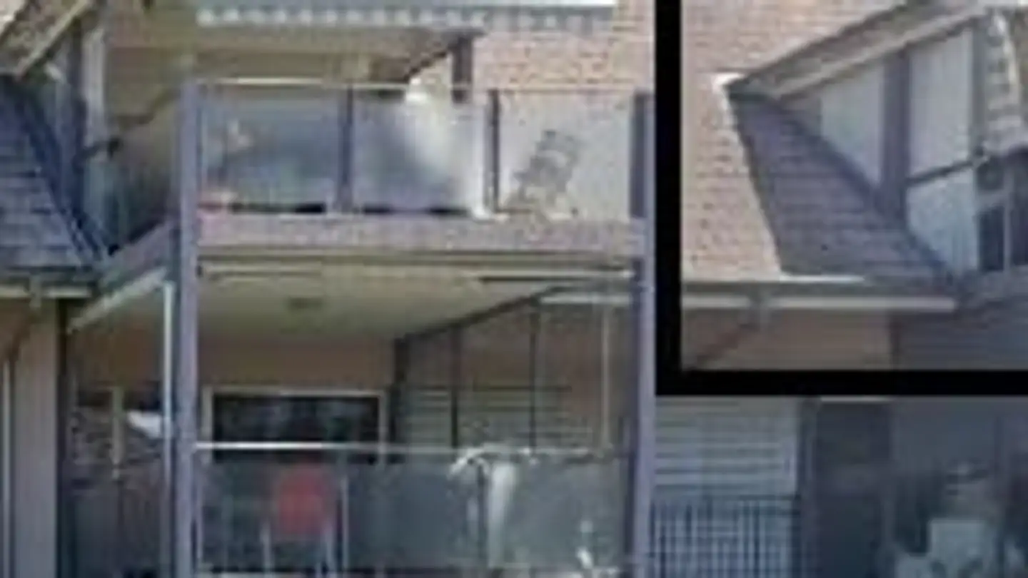 Duplex in vendita - Buechzelgliring 19, 5436 Würenlos