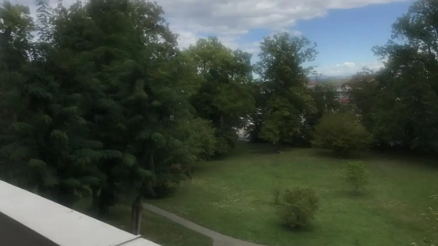 Apartment for rent - Rue Elisabeth-Baulacre 24, 1202 Genève - Photo 2