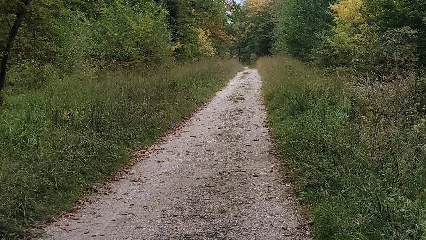 Wohnung mieten - 1222 Vésenaz