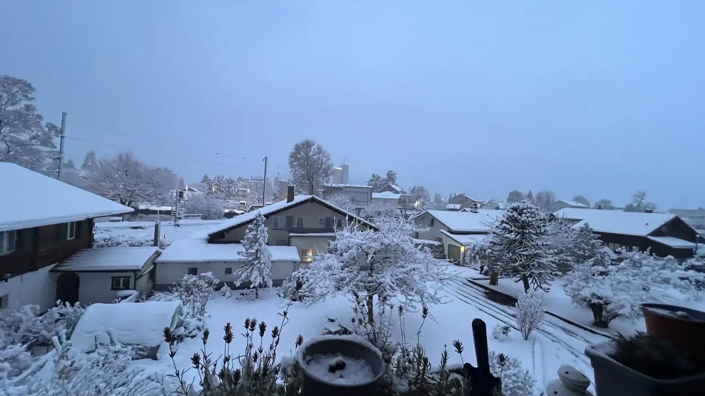 Stanza singola in affitto - 3800 Unterseen - Foto 2