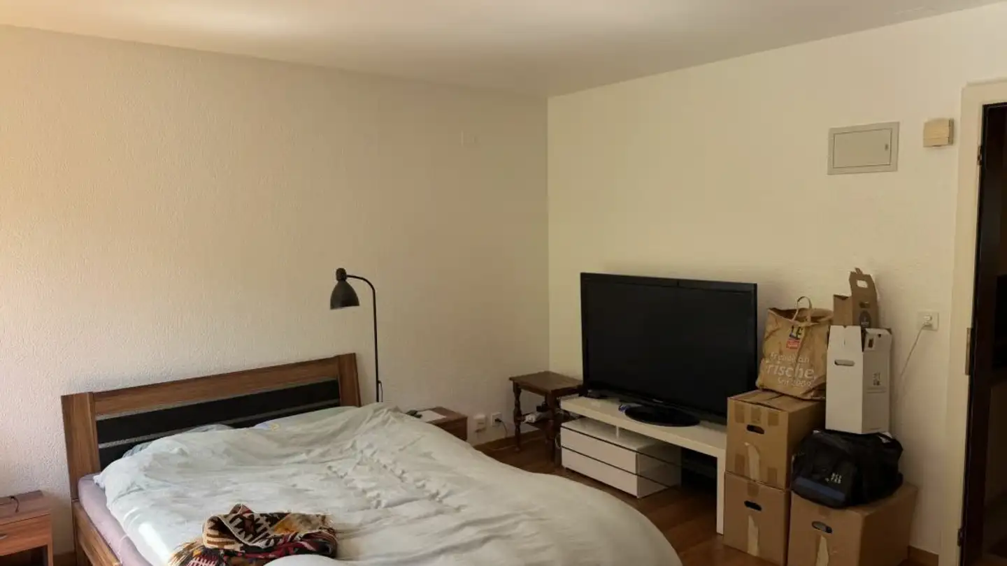 Studio in vendita - Route De Fruence 103, 1618 Châtel-St-Denis - Foto 2