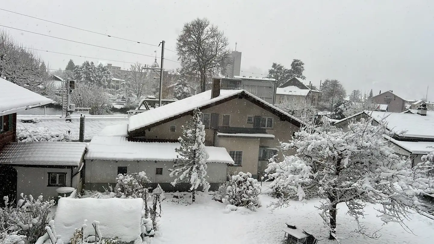 Stanza singola in affitto - 3800 Unterseen - Foto 4