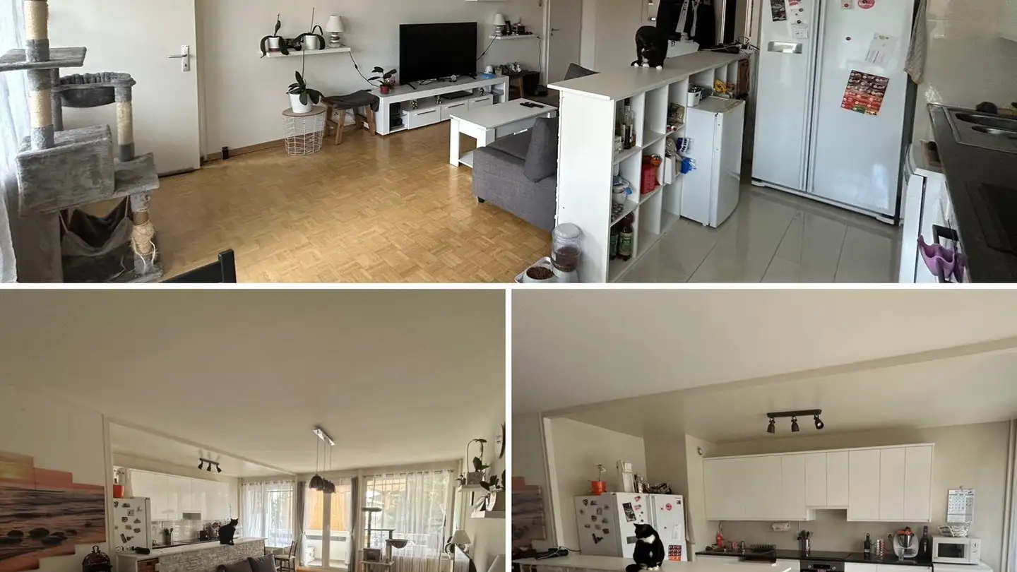 Appartamento in affitto - Avenue de Gennecy 26, 1237 Avully - Foto 2