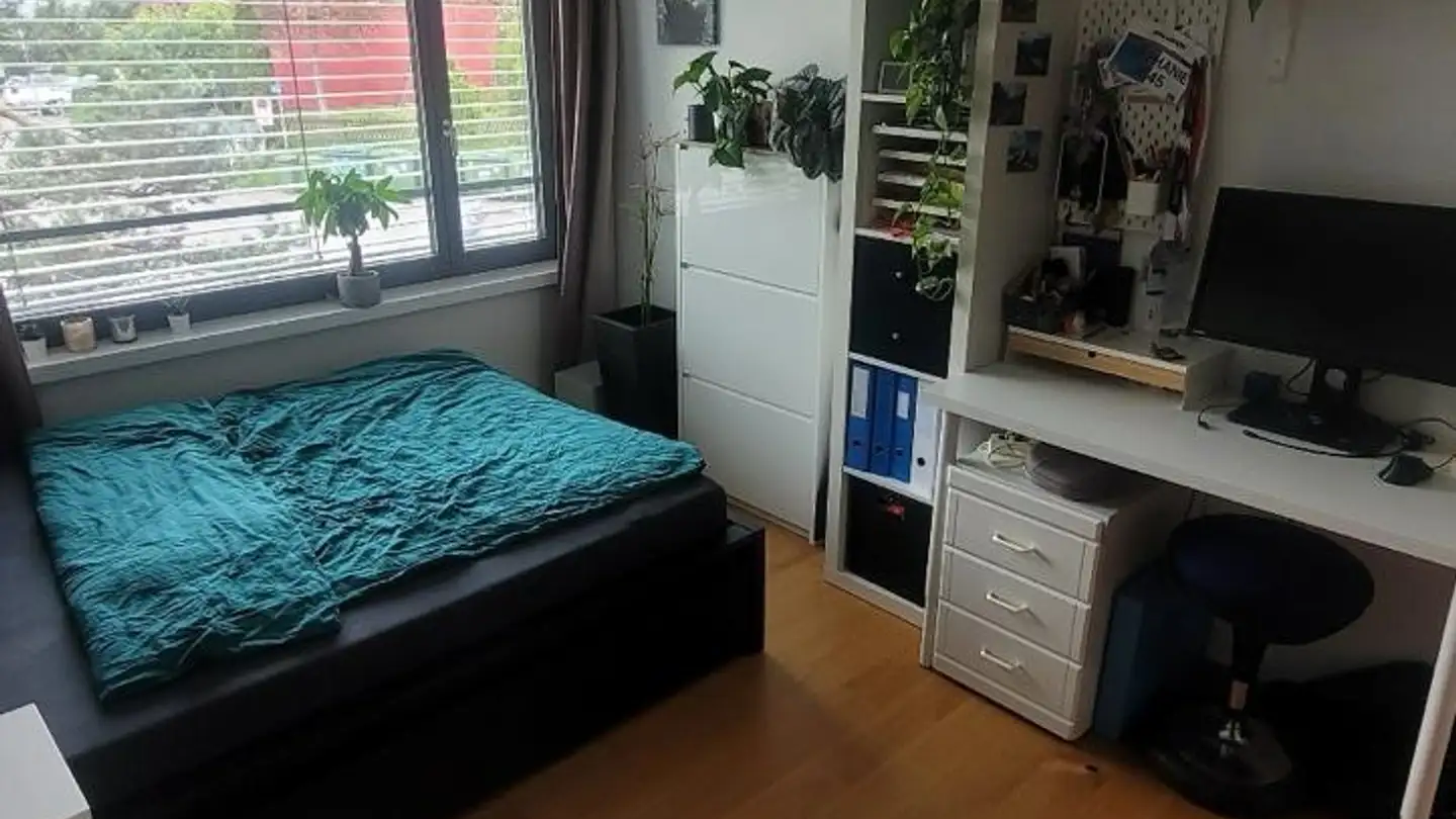 Einfamilienhaus mieten - 8051 Zürich - Foto 3