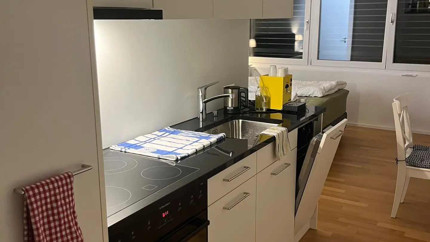 Appartamento in affitto - Jakob-Fügli-Strasse 18, 8048 Zürich - Foto 2
