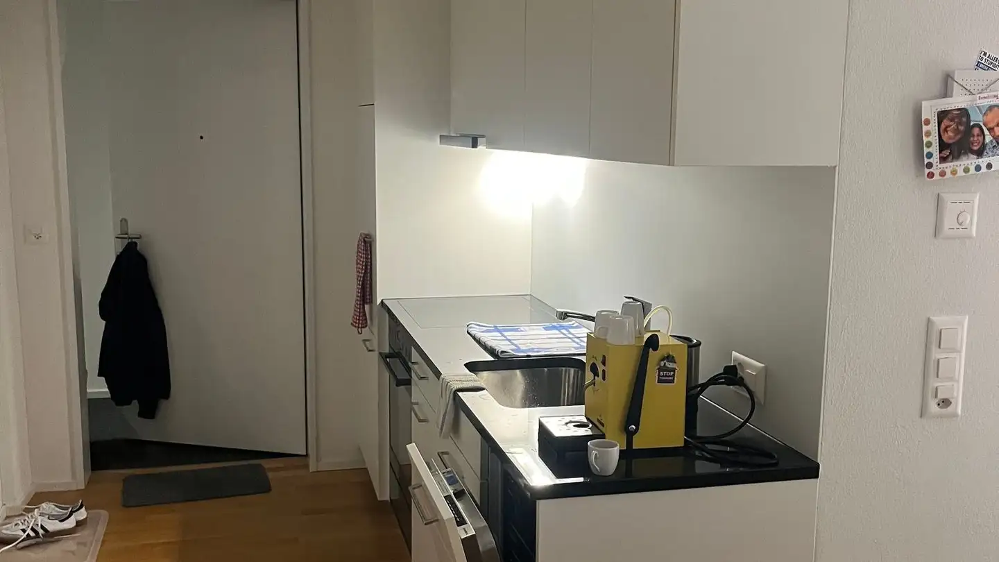 Appartamento in affitto - Jakob-Fügli-Strasse 18, 8048 Zürich - Foto 4