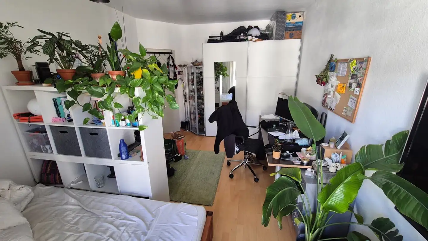 Chambre à louer - Josefstrasse 42, 8005 Zürich