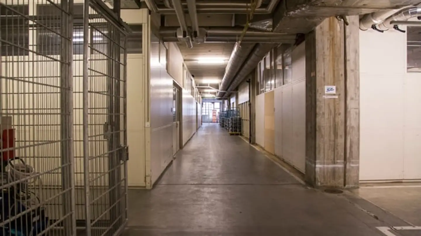 Spazio di archiviazione in affitto - Freiburgstrasse 251, 3018 Bern - Foto 3