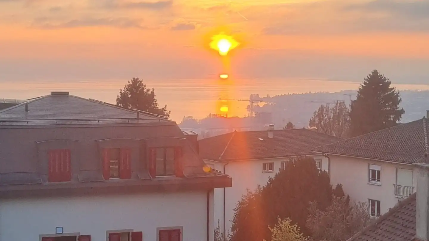 Single room for rent - Chemin De Pierrefleur, 1004 Lausanne