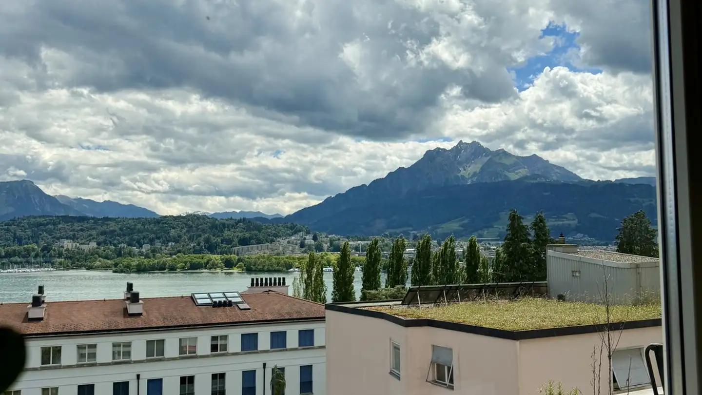 Stanza singola in affitto - 6006 Luzern - Foto 4