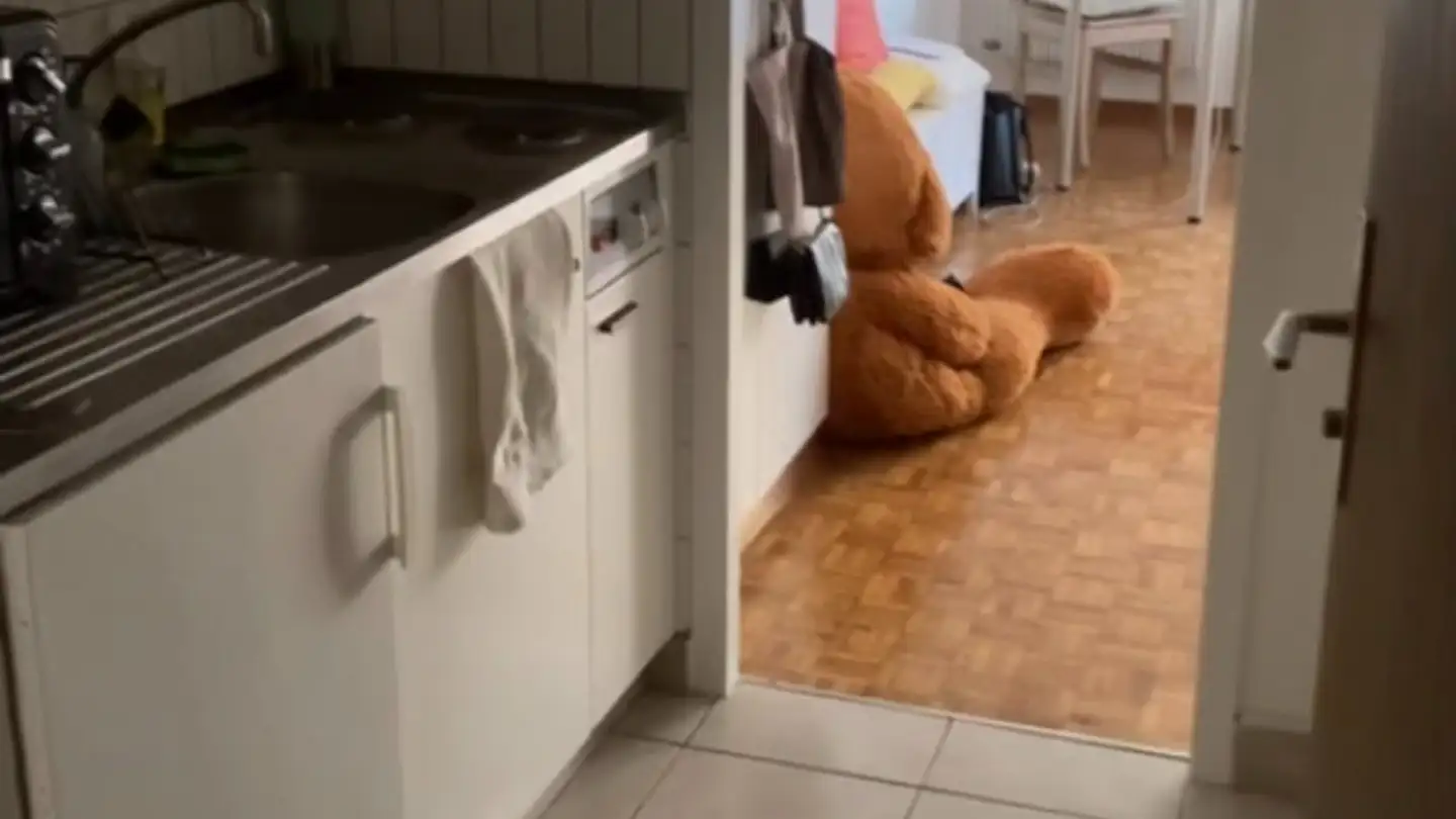 Appartement à louer - Avenue De Morges 74, 1004 Lausanne