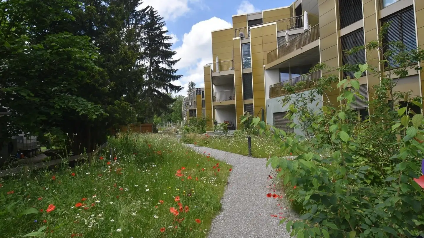 Penthouse mieten - Limmatstrasse 10, 8952 Schlieren
