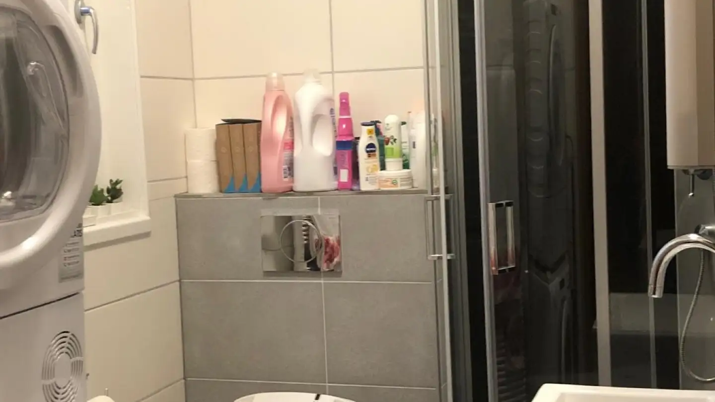 Single house for rent - Leutwilerstrasse 10, 5706 Boniswil - Photo 4