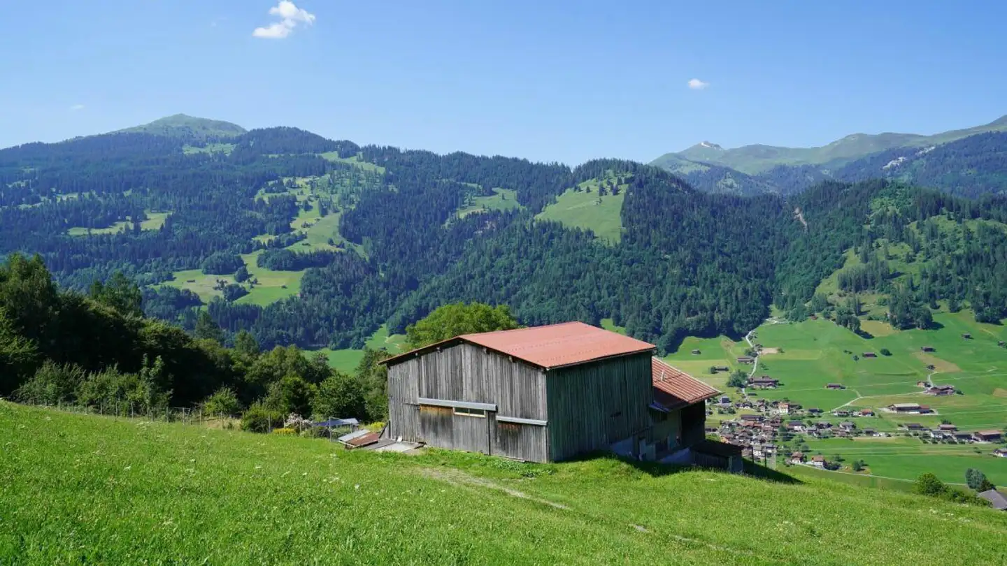 Farm for sale - Terfalserweg, 7223 Buchen im Prättigau - Photo 4