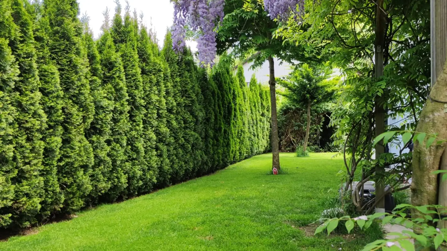 Casa singola in affitto - 8618 Oetwil am See - Photo 4