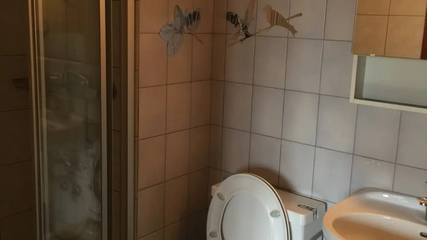 Appartement à louer - Faubourg Philippe-Suchard 50, 2017 Boudry - Photo 4