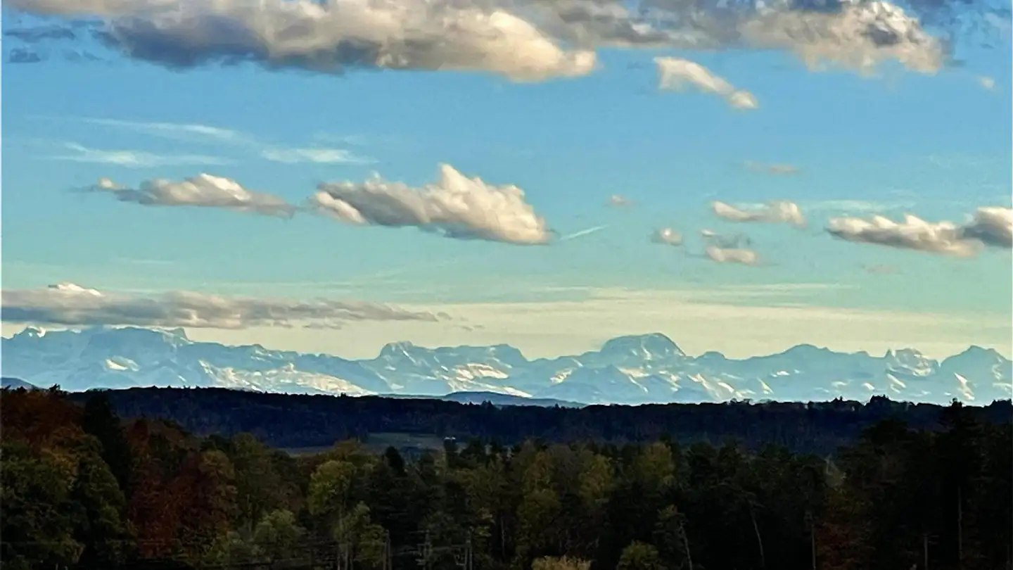 Einfamilienhaus kaufen - 8255 Schlattingen