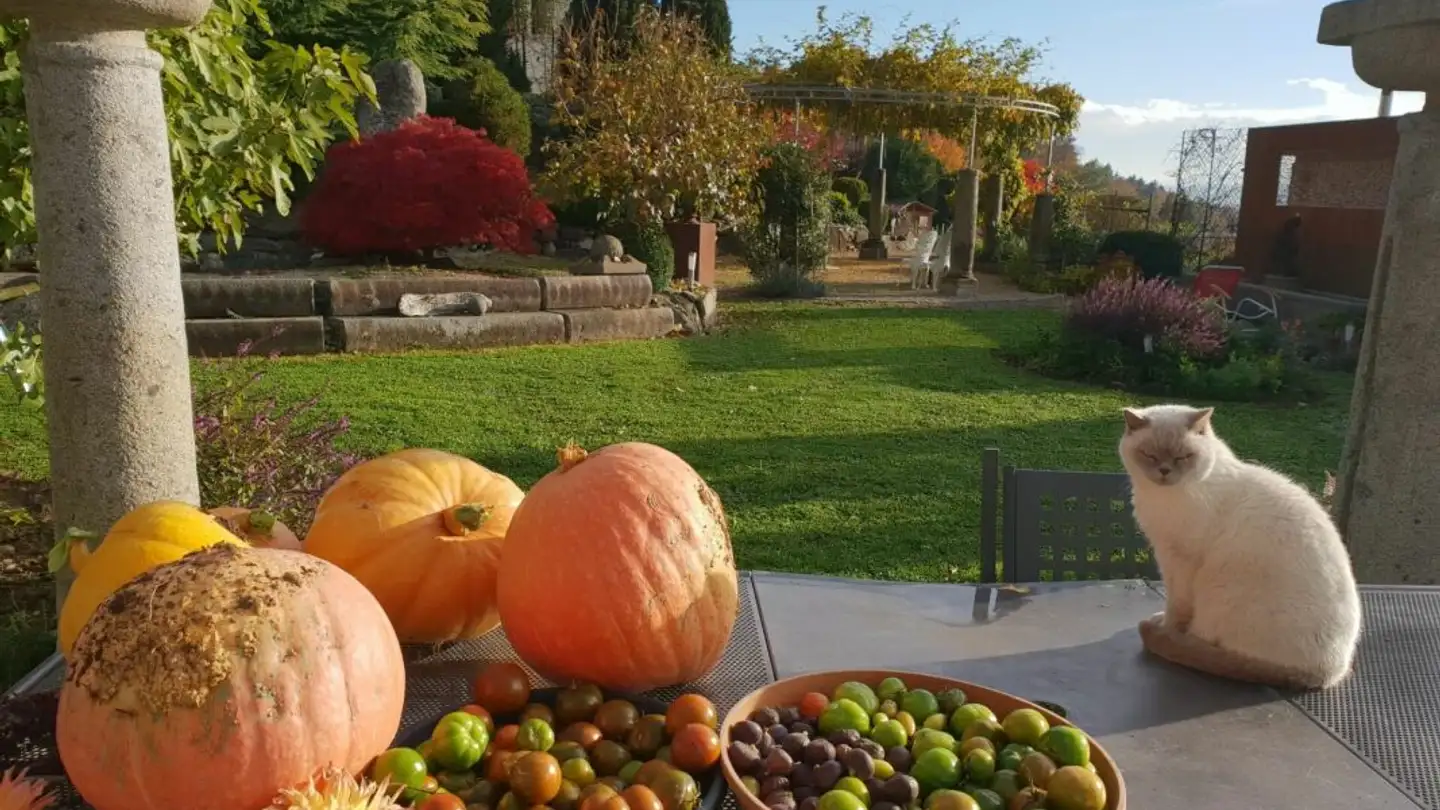 Maison individuelle à vendre - 5444 Künten - Photo 4