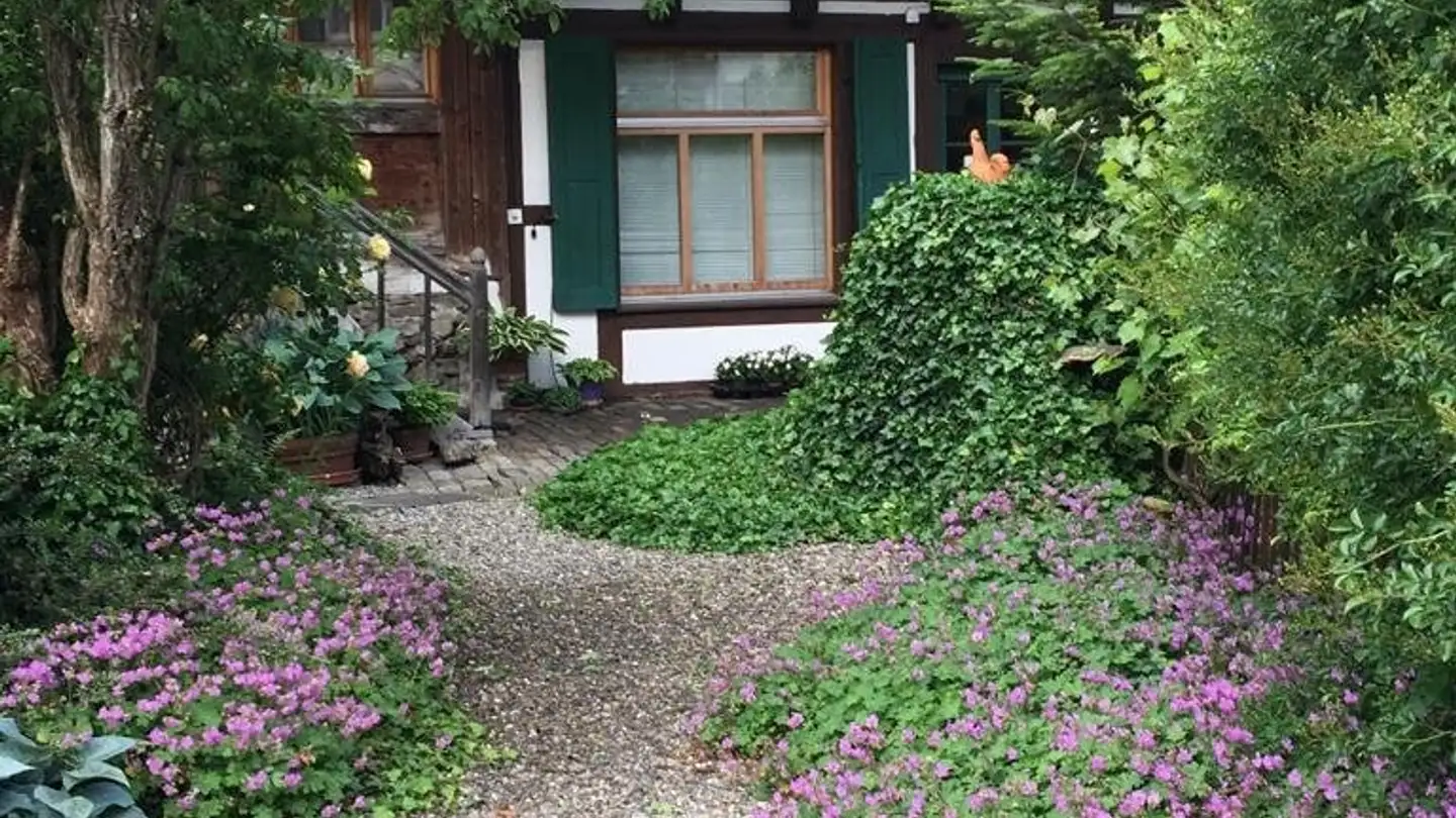 Wohnung mieten - 3665 Wattenwil