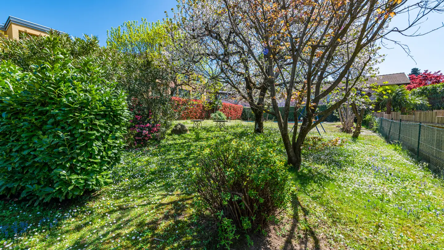 Immobile in vendita - Via Cadempina, 6814 Cadempino - Photo 2