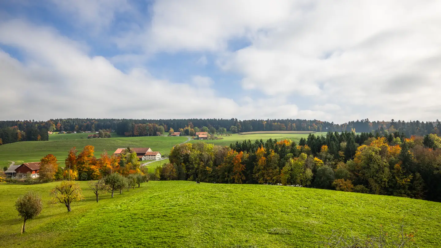 Wohnung kaufen - Route De Romont 45, 1699 Porsel - Foto 3