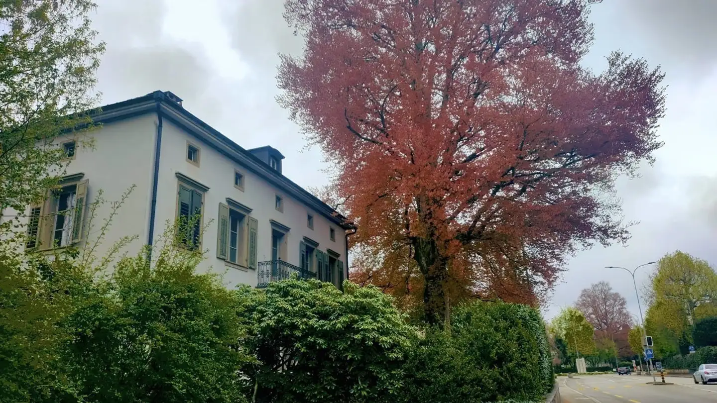 Single room for rent - Aarwangenstrasse, 4900 Langenthal - Photo 2