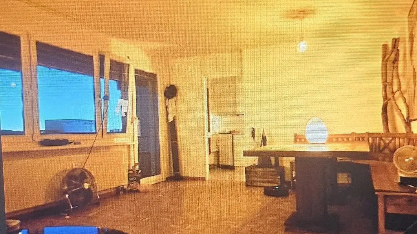 Single room for rent - Schönenwerdstrasse 3, 8952 Schlieren - Photo 2