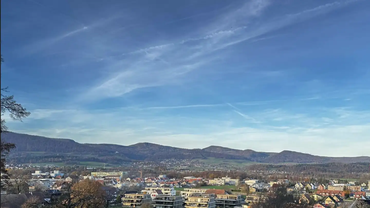 Single house for rent - Golpen 6, 4657 Dulliken