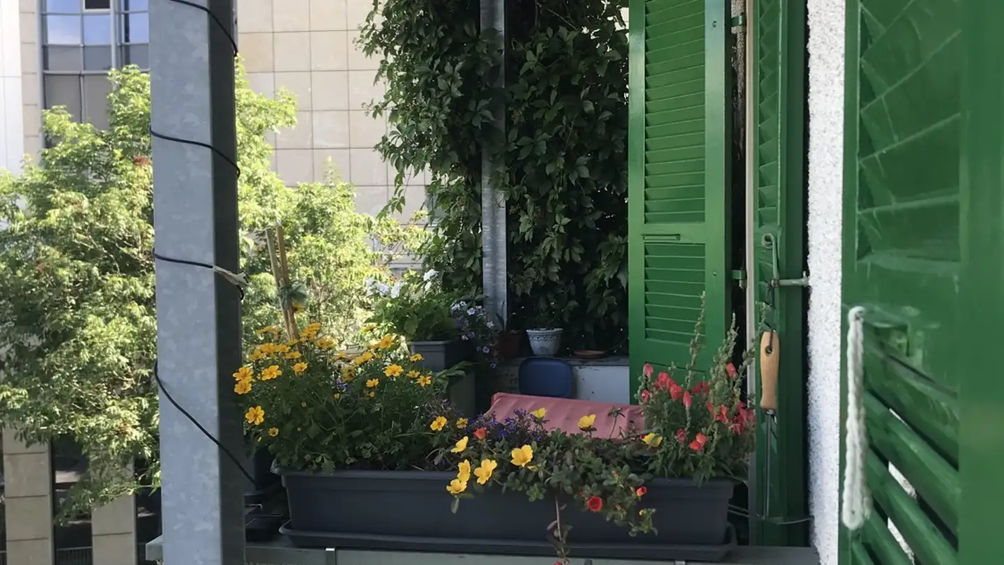 Zimmer mieten - 3018 Bern