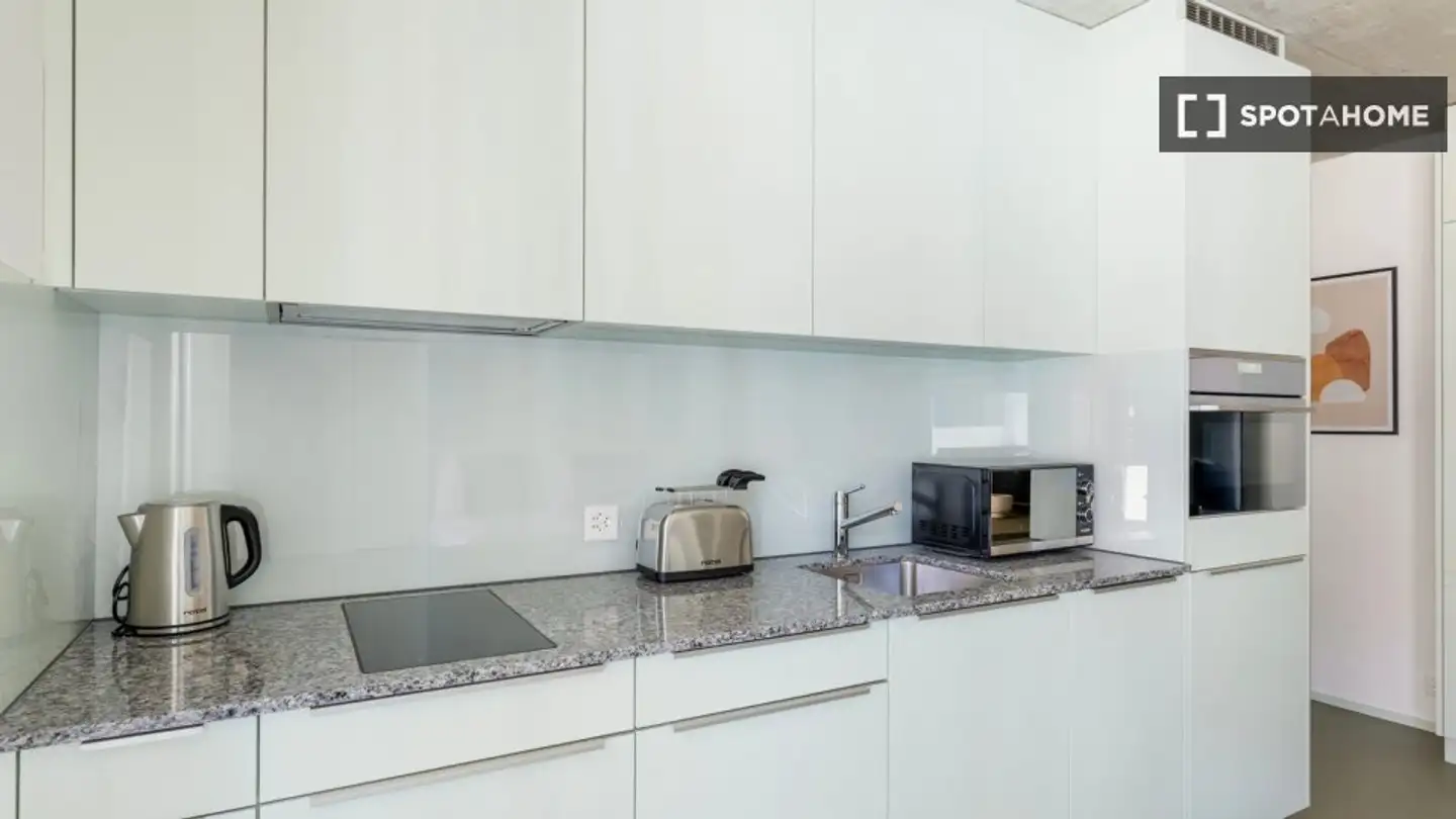 Studio à louer - 8050 Zürich - Photo 3