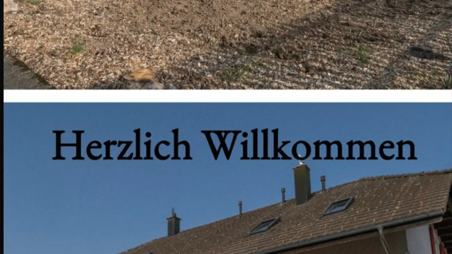 Apartment for rent - Buchsistrasse 2, 3366 Bettenhausen