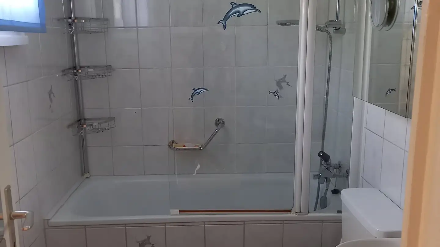 Apartment for rent - Rietwiesstrasse 49, 8737 Gommiswald - Photo 3